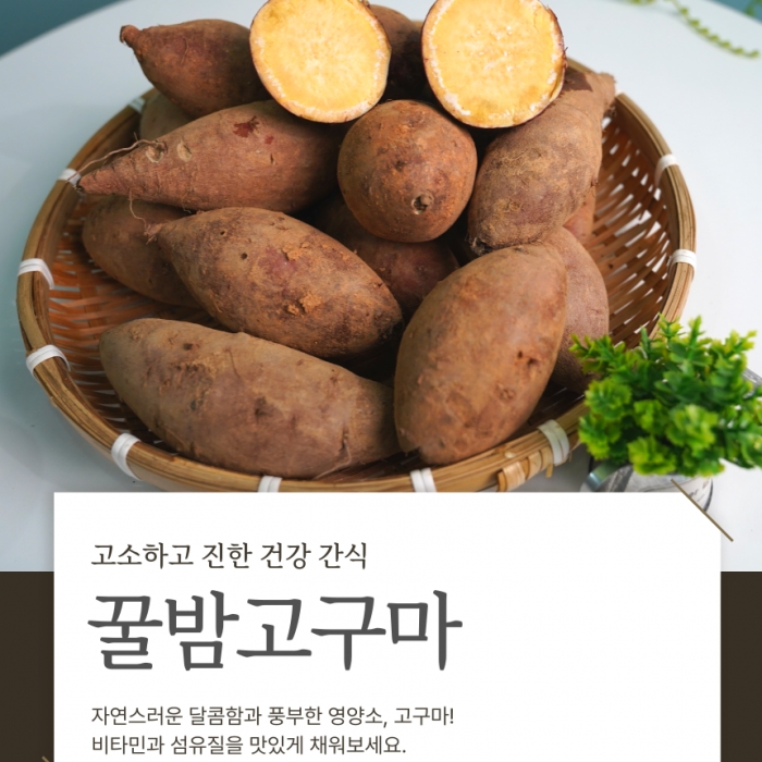 무안 이장님네 황토골 꿀밤 고구마 3kg 5kg 10kg