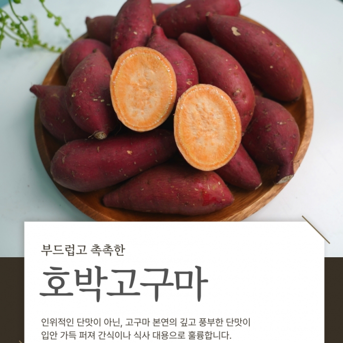 자연이 준 디저트, 햇 호박고구마 10kg