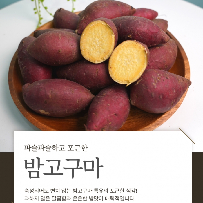 포슬+고소+담백  햇 밤고구마 10kg
