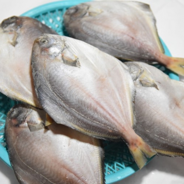 국내산 반건조병어(中) 제수용 제사생선 마른병어 말린병어 선물용 명절용 [원산지:국산]...