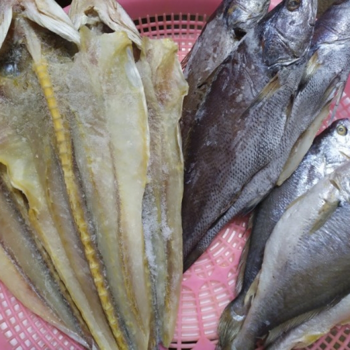 반건조 생선 모둠(모듬) 프리미엄  2호 세트(말린 생선, 마른 생선, 제수용, 제사, 명...